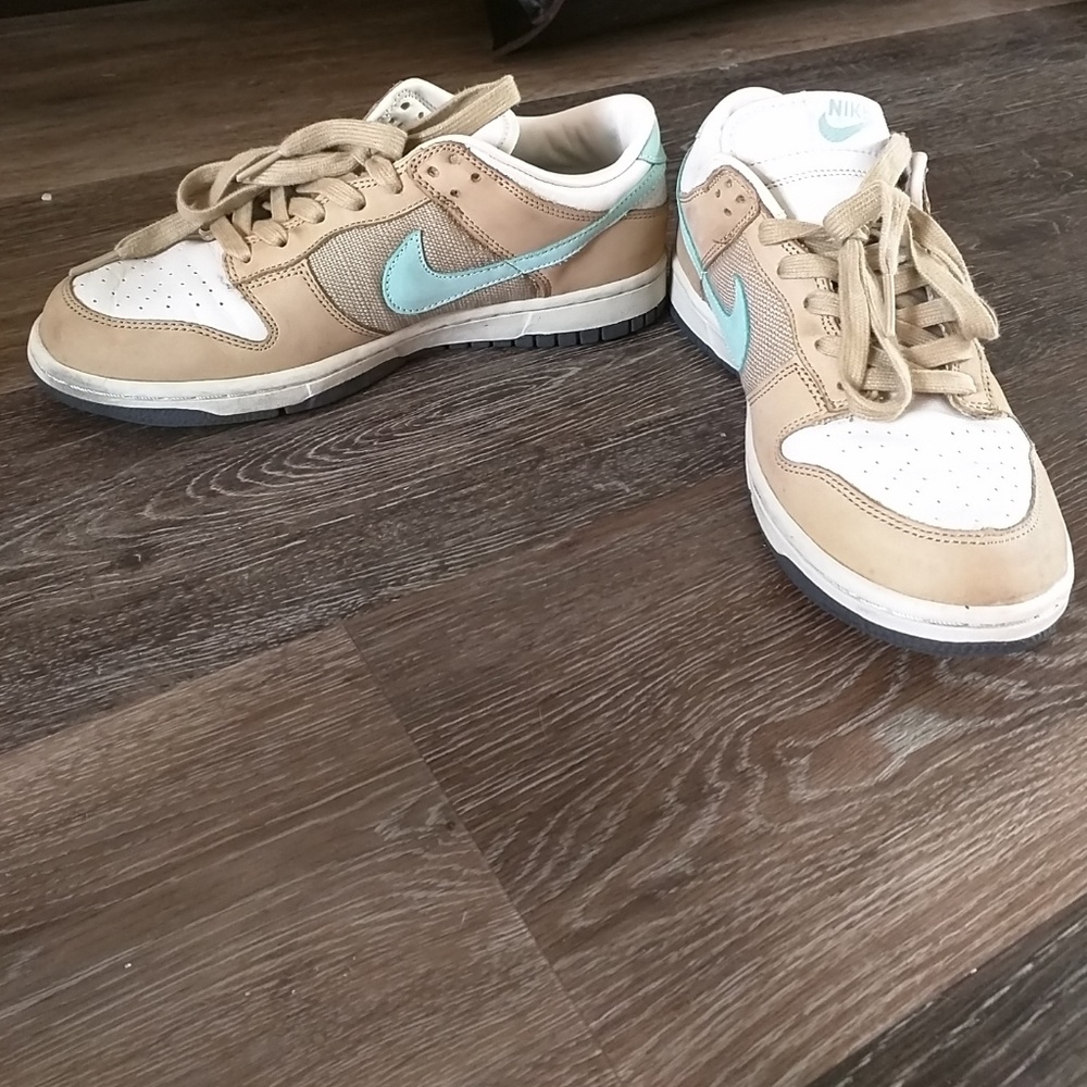 Nike Dunk Low Pro
